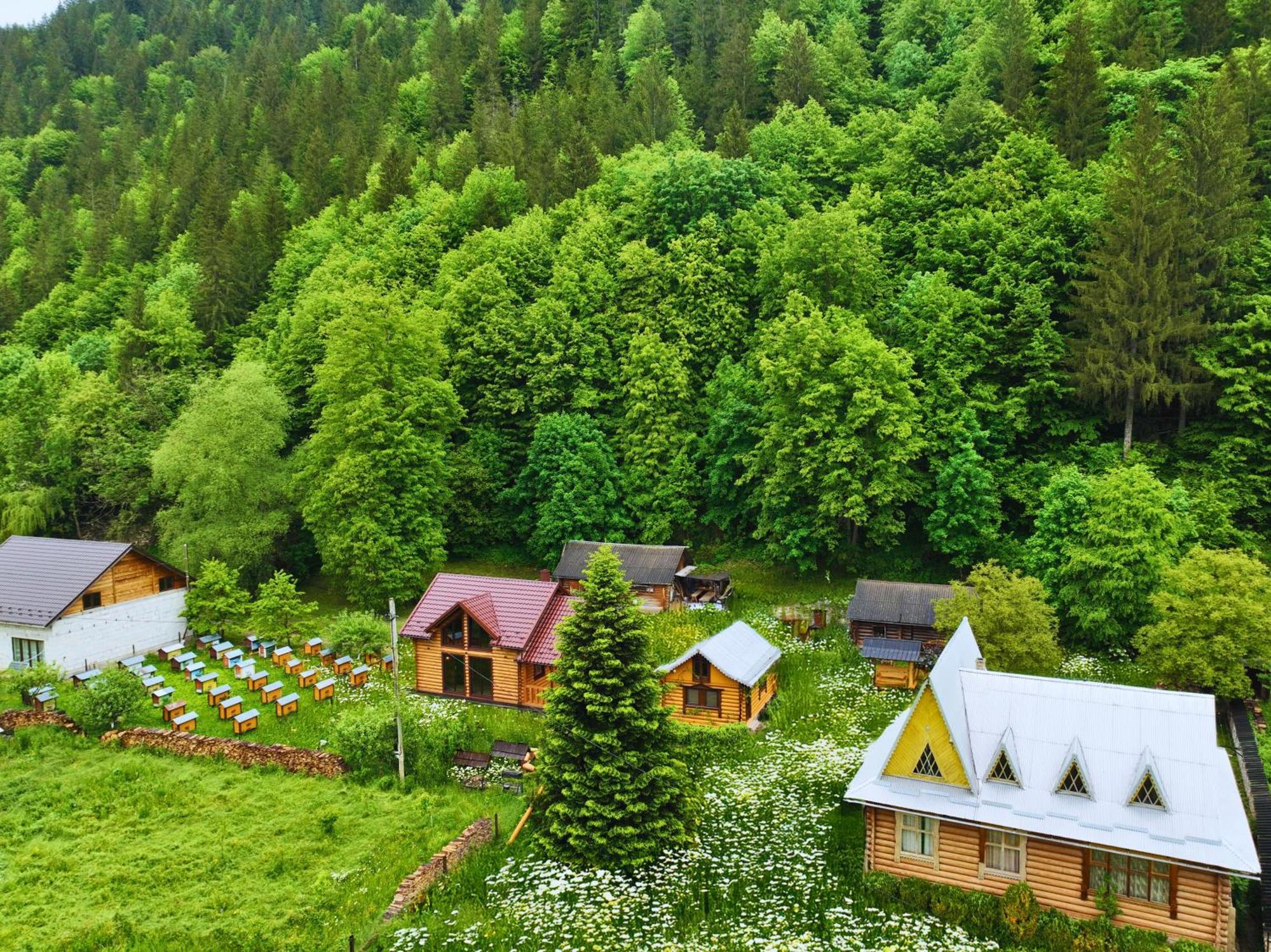 Linden Grove Chalet